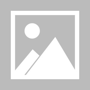 开云-五后卫？三箭头！荷兰锁定小组第一越飞越起劲